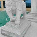 贵港 白麻花岗岩动物异形石雕-大象