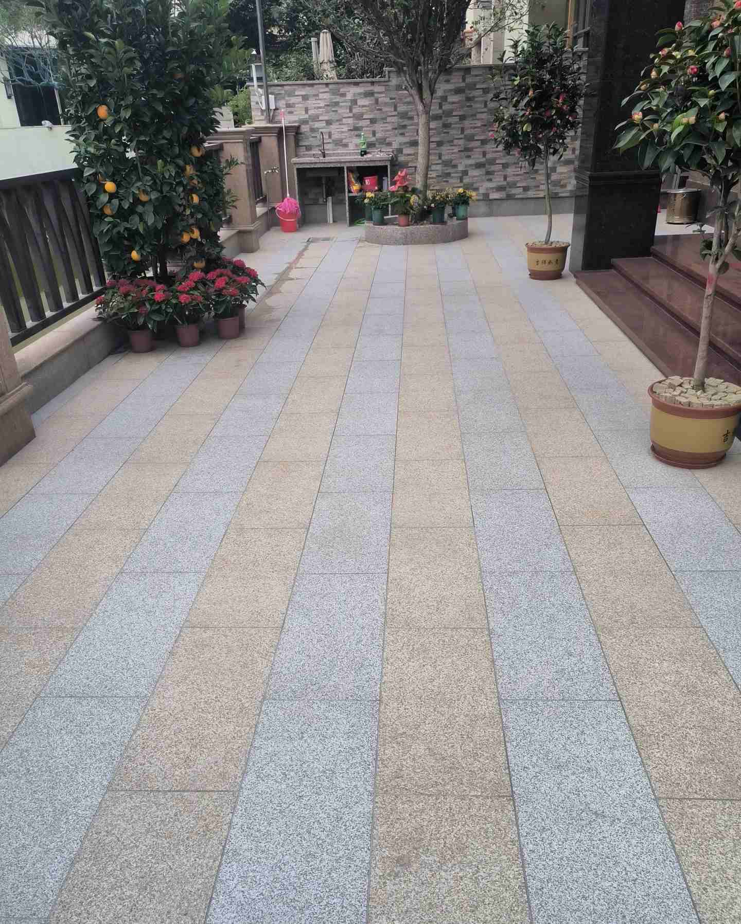 贵港 黄金麻白麻荔枝面庭院铺装展示